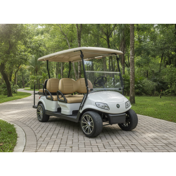 2022 Golf Cart with Lithium Batteries